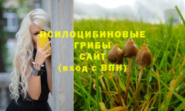 амф Баксан