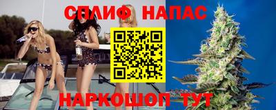 apvp Коммунар