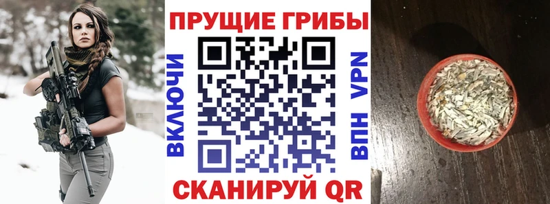 как найти закладки  кракен ссылки  Псилоцибиновые грибы мухоморы  Мурманск 