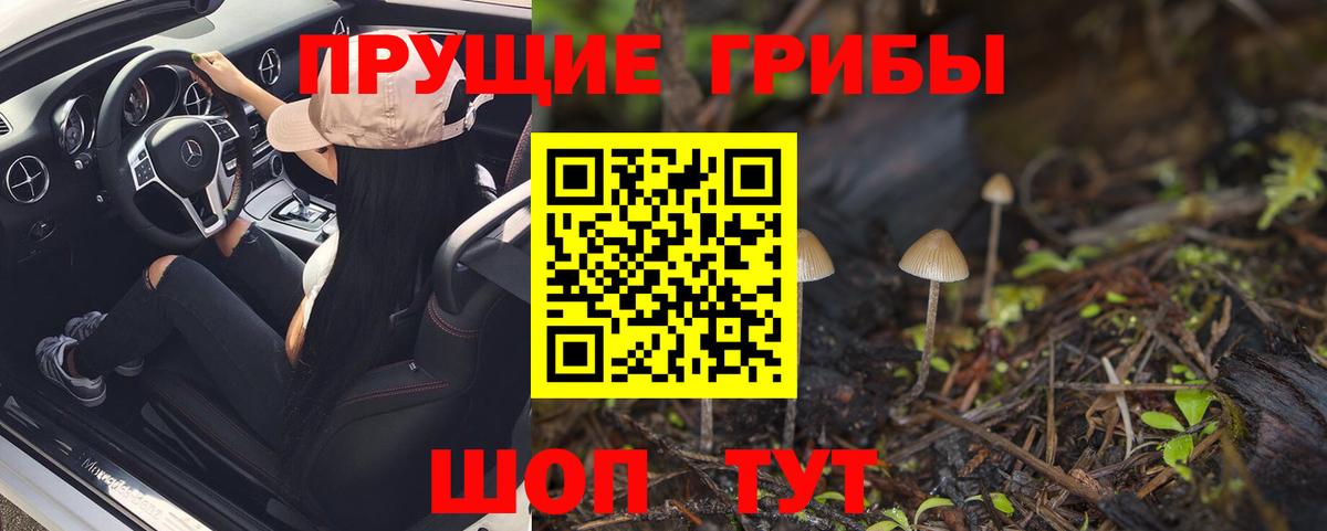 хочу наркоту  Галлюциногенные грибы Magic Shrooms  Вход с VPN  Мурманск 